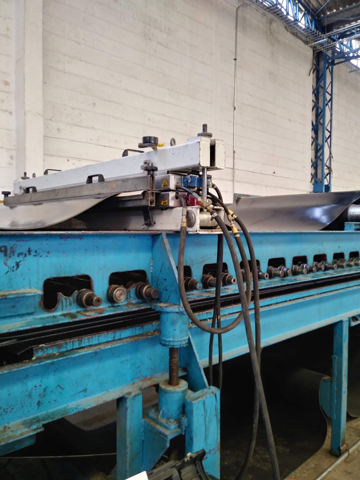 WhatsApp Image 2023-10-03 at 11.39.49 AM (1) - copia